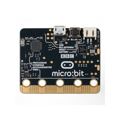 BBC Micro Bit (DFR0497)